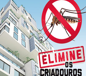Síndicos devem adotar métodos de prevenção diante dos casos de dengue