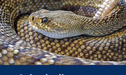 Segurança é um trabalho conjunto