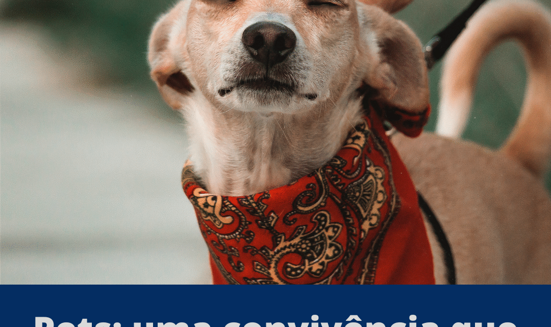 Moradora de condomínio deve indenizar vizinha por ofensas no WhatsApp