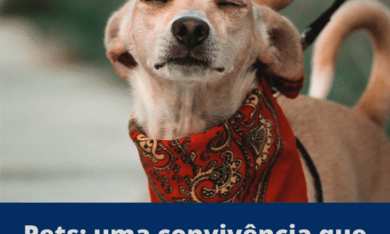 Moradora de condomínio deve indenizar vizinha por ofensas no WhatsApp