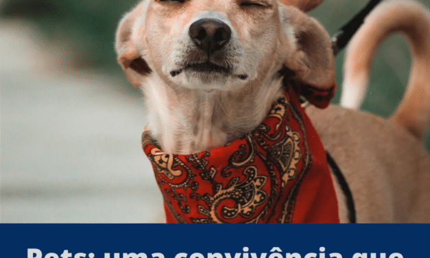 Moradora de condomínio deve indenizar vizinha por ofensas no WhatsApp