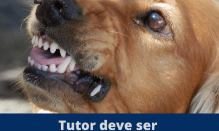 Tutor deve ser responsabilizado por ataque de cães
