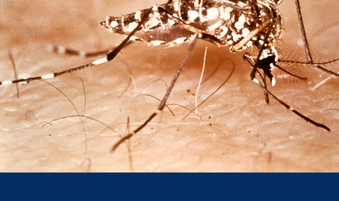 Assaltos e furtos em condomínios: como se prevenir