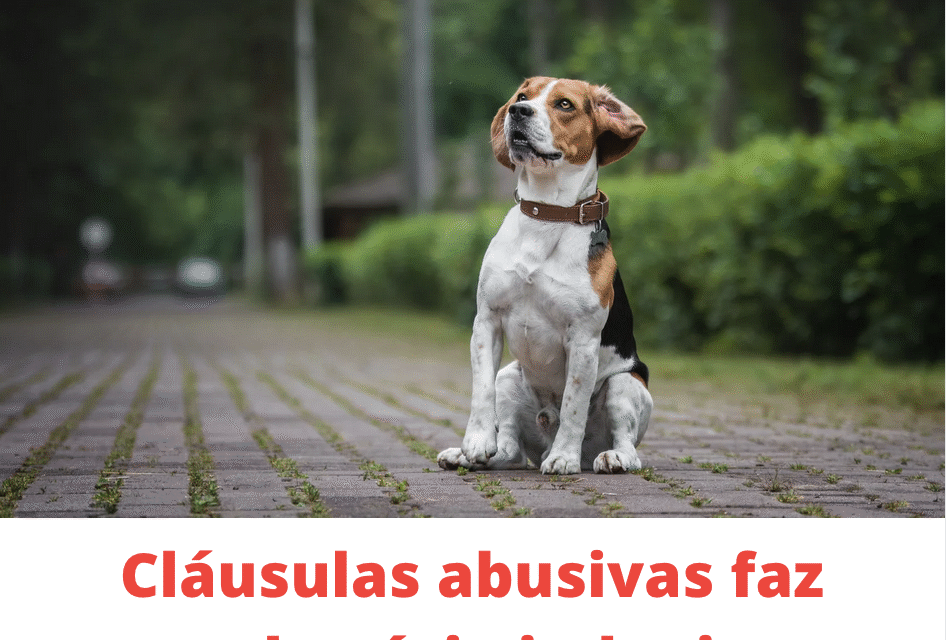 Justiça determina que pet pode transitar dentro de condomínio acompanhado do tutor e com coleira