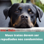 Condomínio não pode ser omisso com violência a animais