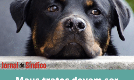 Condomínio não pode ser omisso com violência a animais