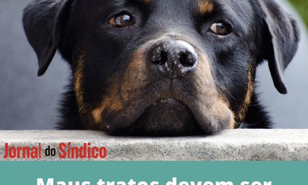 Condomínio não pode ser omisso com violência a animais