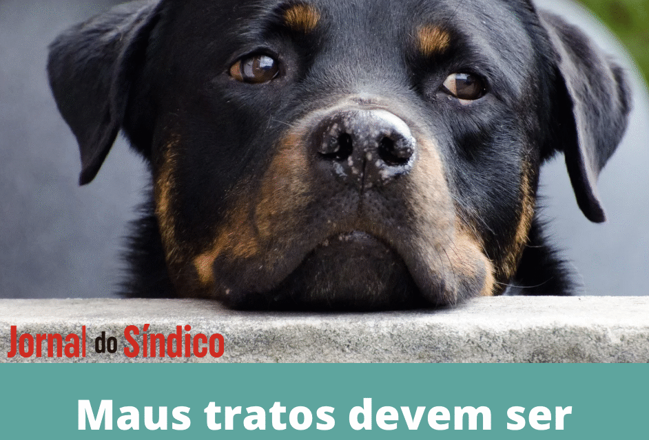 Condomínio não pode ser omisso com violência a animais