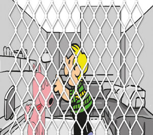 Telas protetoras de janela: permitidas ou proibidas?