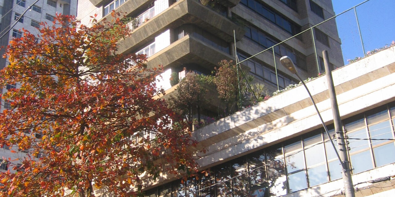 Quais as atribuições do presidente durante uma assembleia?