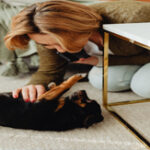 Responsabilidade por pets no condomínio recai sobre tutores