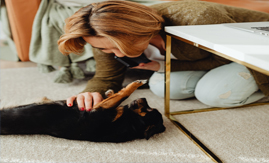 Responsabilidade por pets no condomínio recai sobre tutores