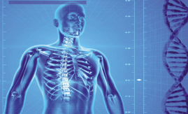 Maus hábitos posturais podem levar à dor nas costas