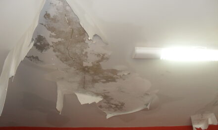 Responsabilidade pela infiltração em edifícios