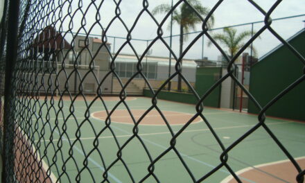 Condômino inadimplente não pode ser vetado em áreas de lazer