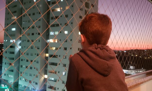 Telas protetoras de janela: permitidas ou proibidas?