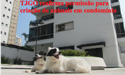 TJGO reafirma permissão para criação de animais em condomínio