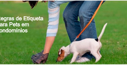 Regras de etiqueta para pets