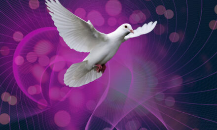 Espiritualidade no Condomínio: o elo invisível da boa convivência