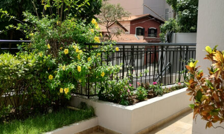 Cuidados com Jardins e Plantas em Condomínios no Verão