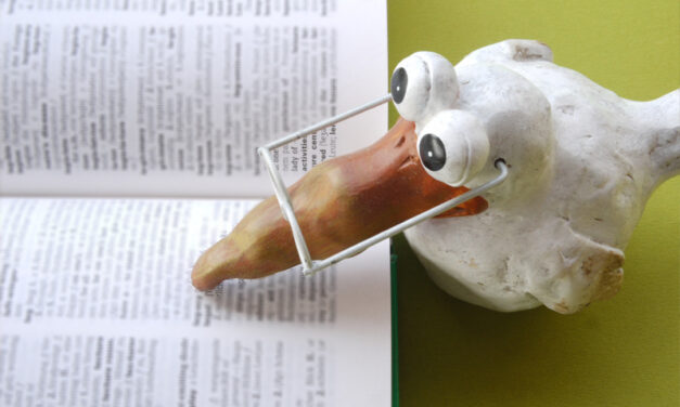 Distinções jurídicas entre ata da assembleia e relatório em condomínios