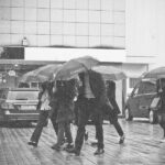 Queda de árvores, carros atingidos e geradores parados