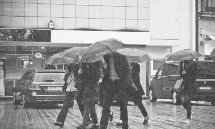 Queda de árvores, carros atingidos e geradores parados